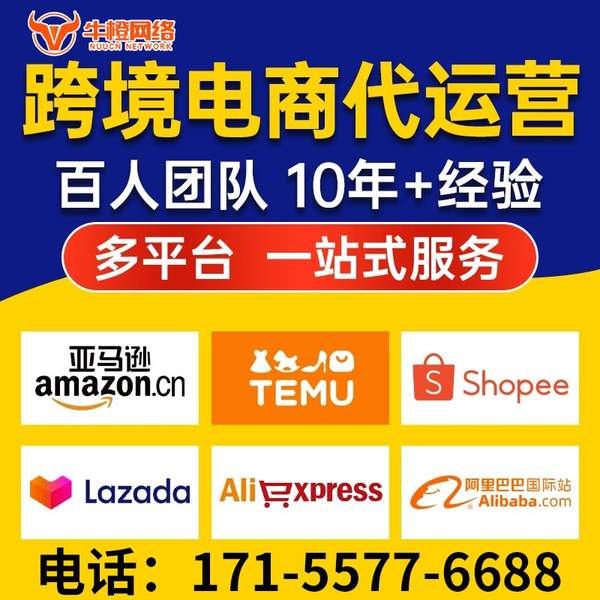 荣成电商代运营
