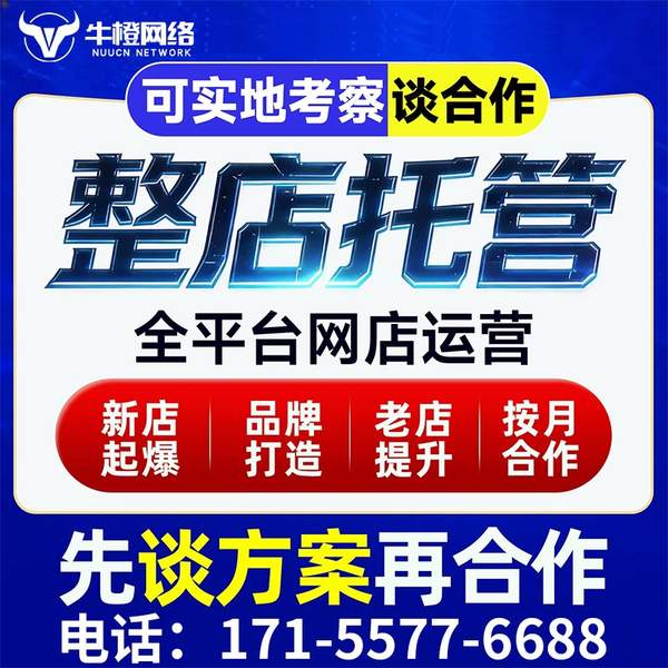 荣成电商代运营