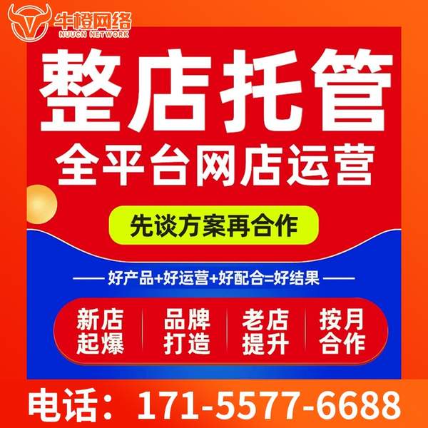 荣成电商代运营