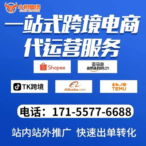 荣成电商代运营