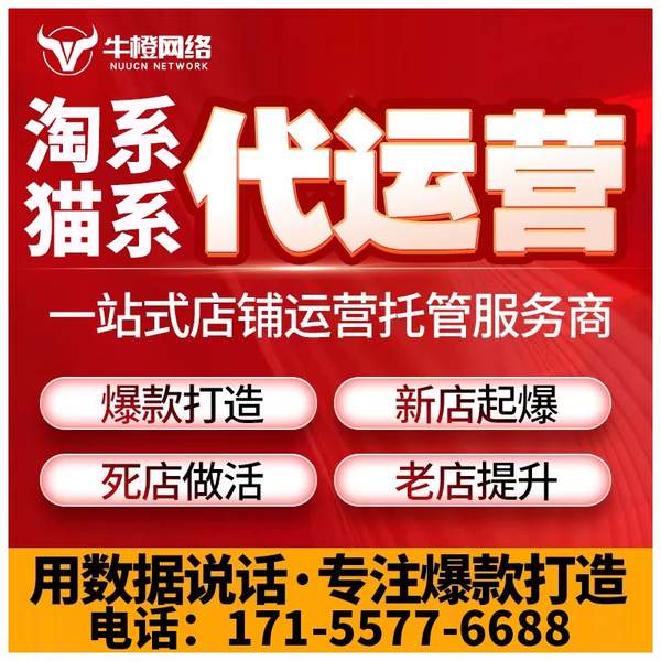 荣成电商代运营